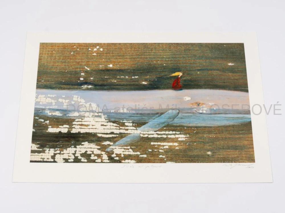 Obraz Tiše si plout