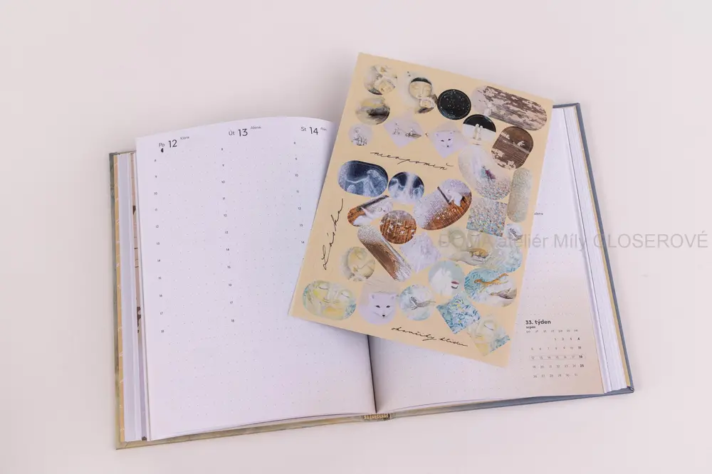 DIÁŘ 2024 "Madonna" VYPRODÁNO