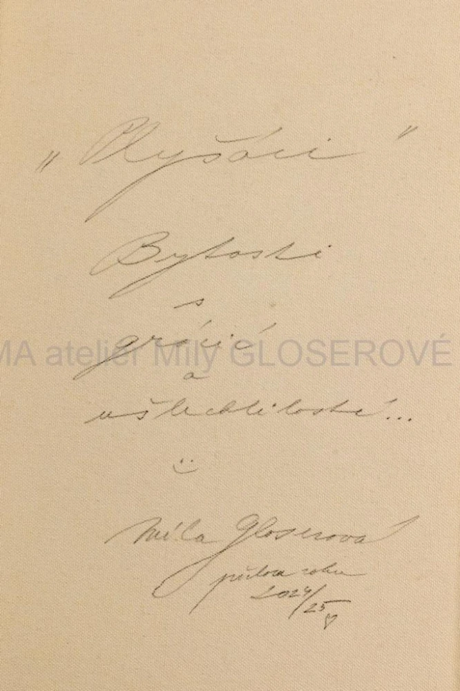 Obraz Plyšáci  PRODÁNO