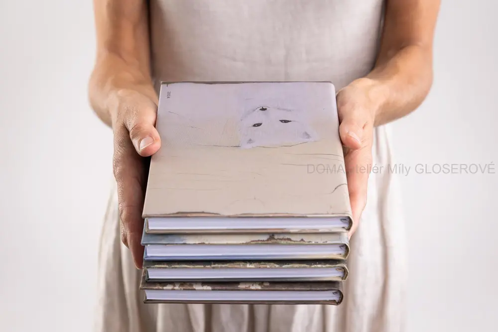 DIÁŘ 2024 "Lištička" VYPRODÁNO