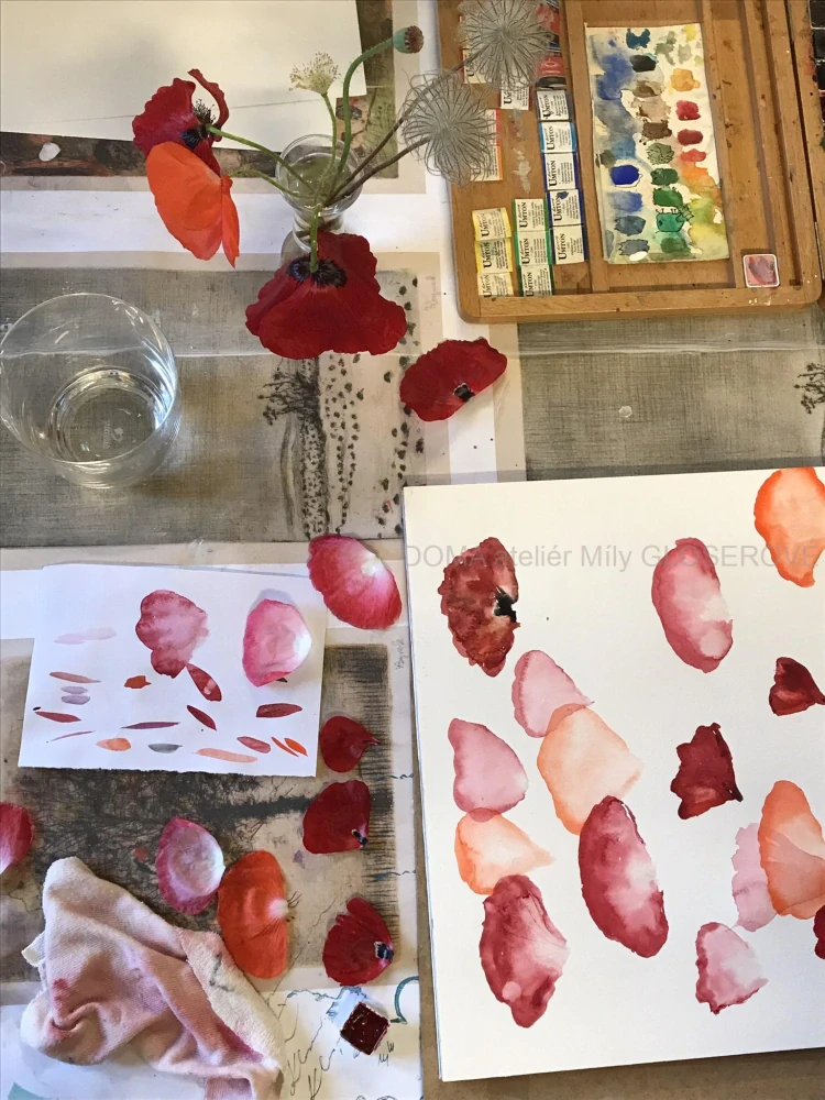 Workshop AKVAREL - PROBĚHLO